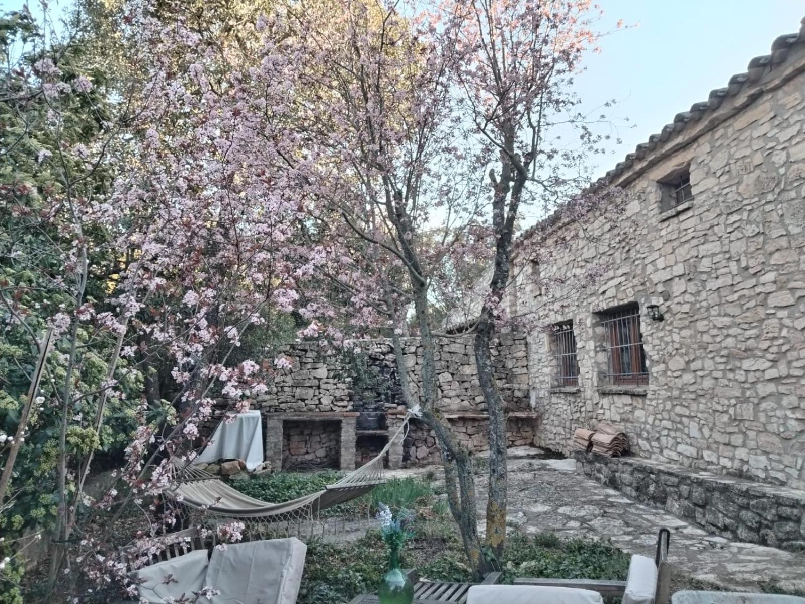Masiadenjust Rojals Exterior photo